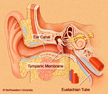 middle_ear_pressure